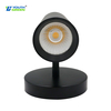 Aluminum Body 5CCT 30W 25W 20W Tunable AC120-277V IP44 LED Wall Spotlights