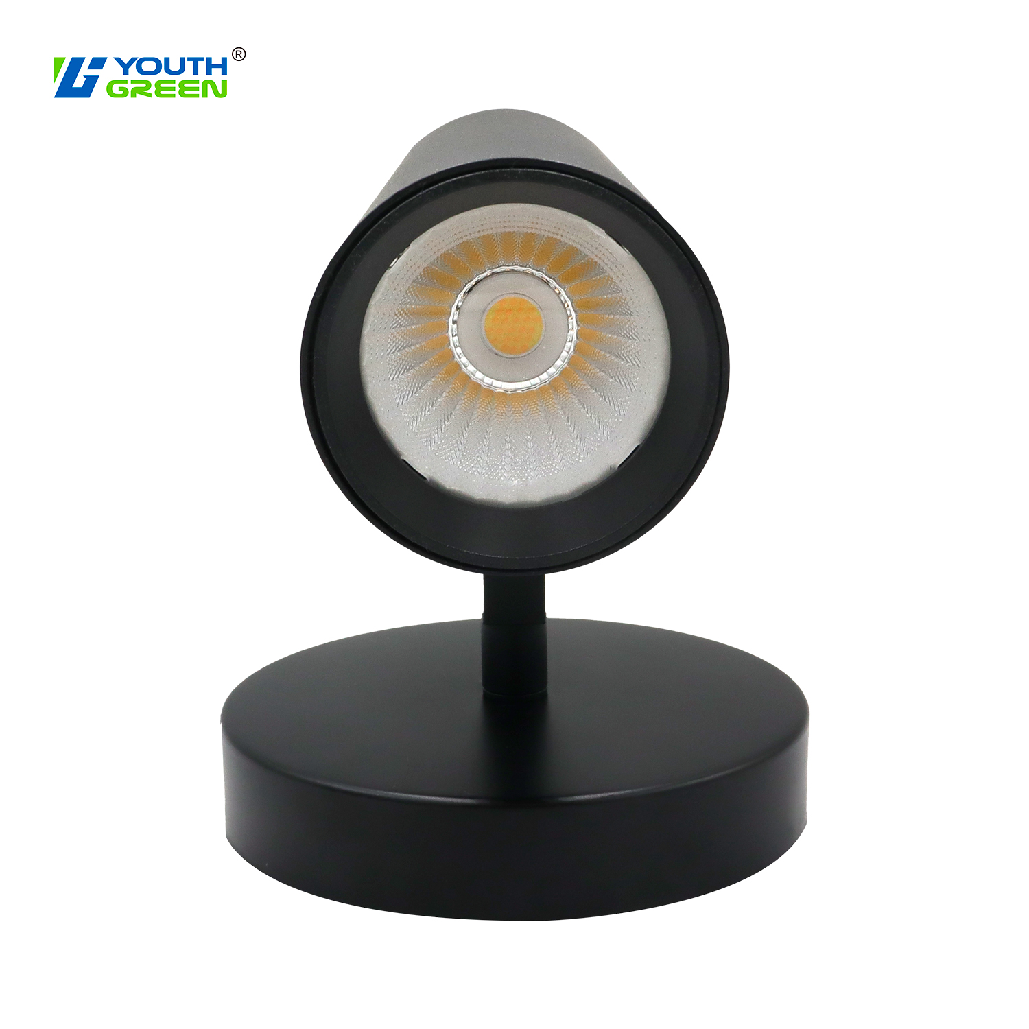 Aluminum Body 5CCT 30W 25W 20W Tunable AC120-277V IP44 LED Wall Spotlights