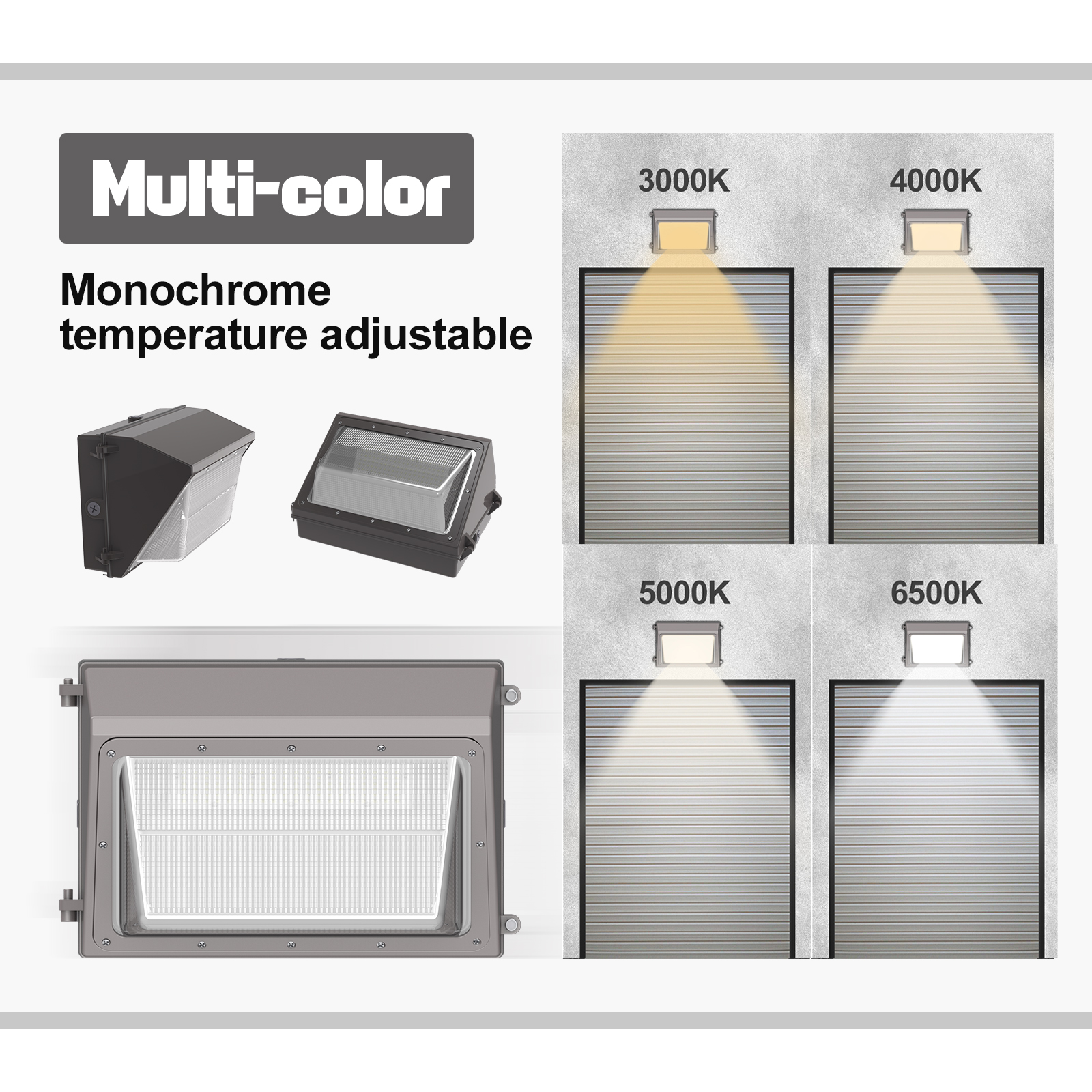 LED Wall Pack Light