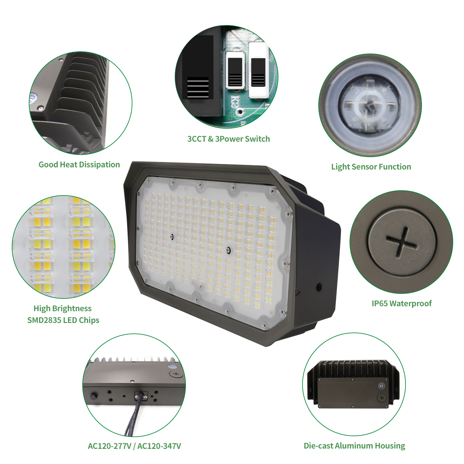 LED Flood Light