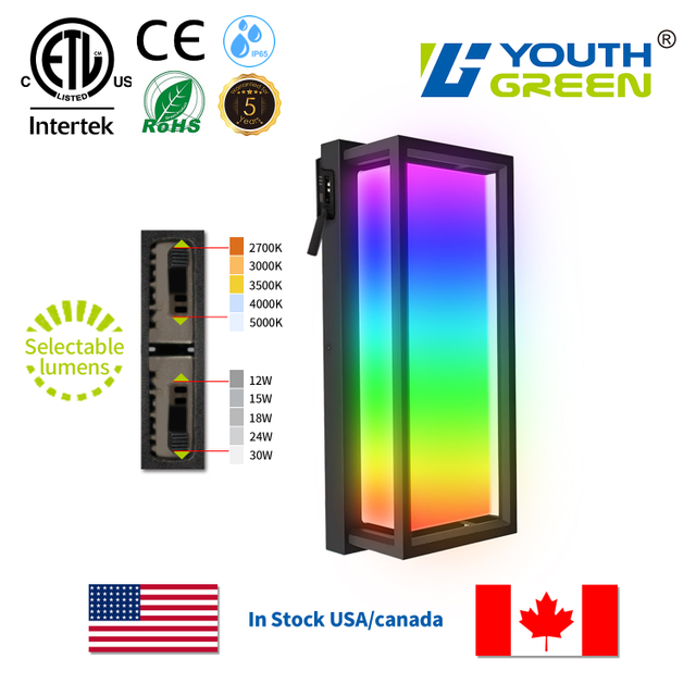 CCT & Power Tunable LED Wall Light