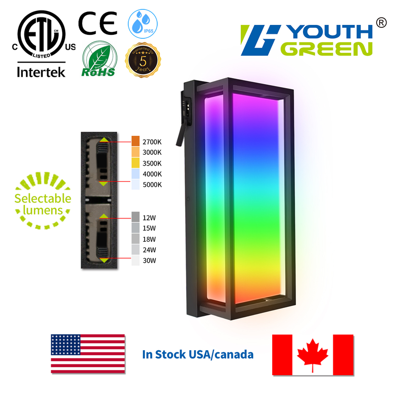 CCT & Power Tunable LED Wall Light