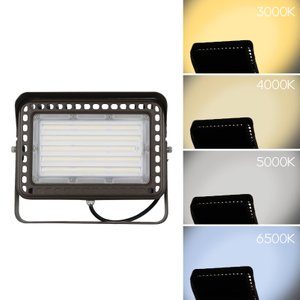 LED Flood Light