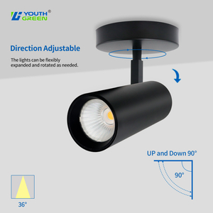 Aluminum Body 5CCT 30W 25W 20W Tunable AC120-277V IP44 LED Wall Spotlights