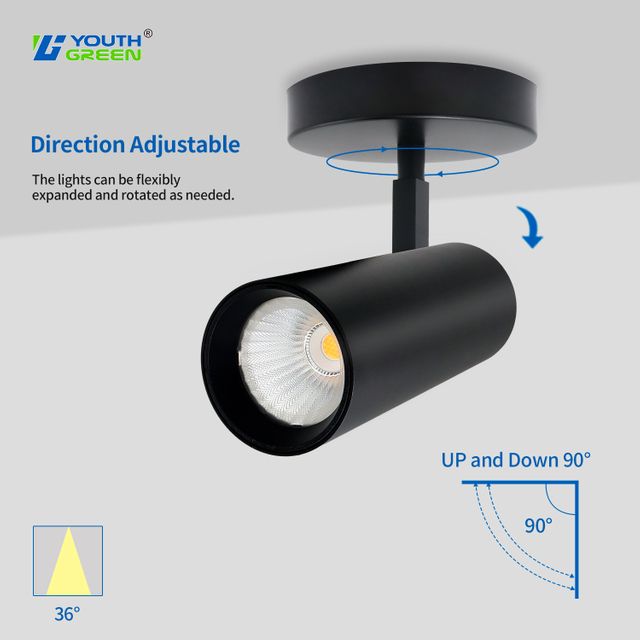 Aluminum Body 5CCT 30W 25W 20W Tunable AC120-277V IP44 LED Wall Spotlights