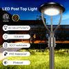 3Power 3CCT Dimmable LED Post Top Light