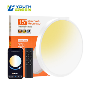 15 Inch 2000-6000K 2.4G Smart Remoted Controlled+ Bluetooth LED Flush Mount Panel 24W