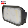 LED Flood Light