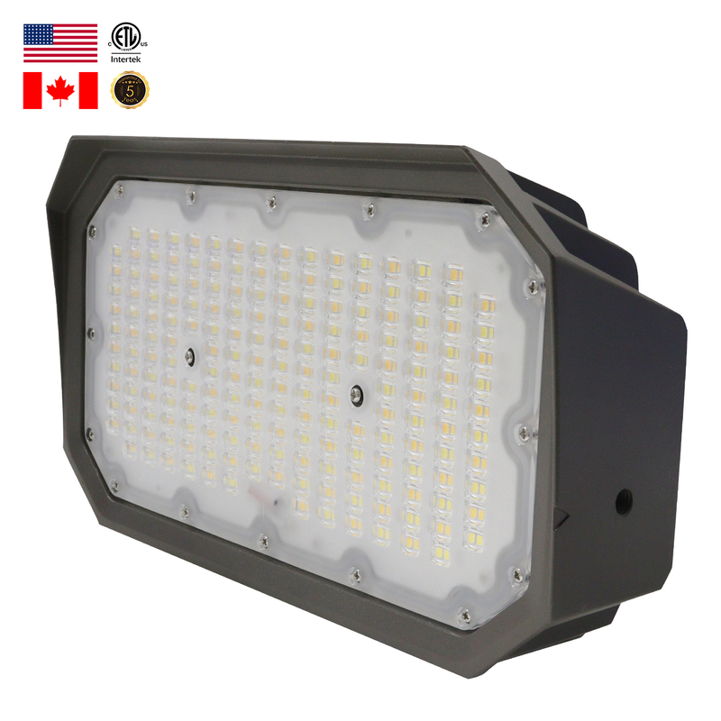 LED Flood Light