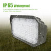 LED Flood Light