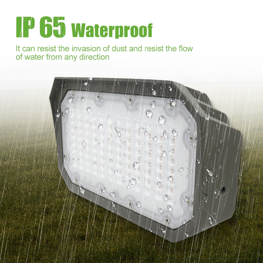 LED Flood Light