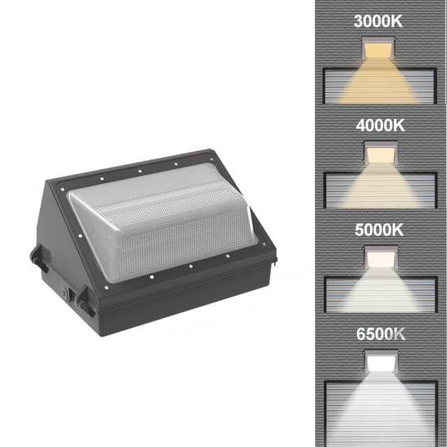 LED Wall Pack Light