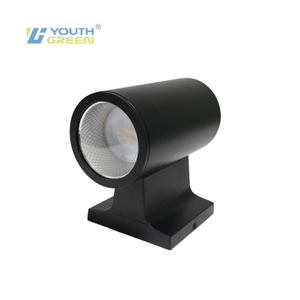 12INCH 5CCT LED Wall Lights 12W