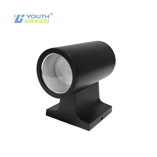 12INCH 5CCT LED Wall Lights 12W