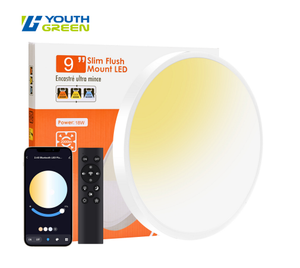9in 2000-6000K 2.4G Smart Remoted Controlled+ Bluetooth LED Flush Mount Panel 18W