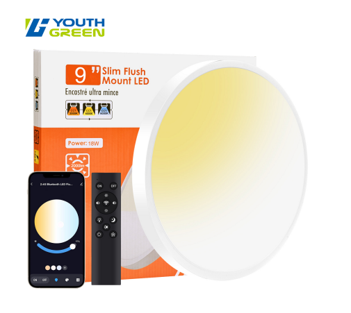 9in 2000-6000K 2.4G Smart Remoted Controlled+ Bluetooth LED Flush Mount Panel 18W