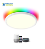 15 Inch RGBW 2000-6000K Smart Wifi Control Flush Mount Panel Light 30W