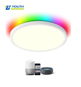 15 Inch RGBW 2000-6000K Smart Wifi Control Flush Mount Panel Light 30W