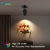 Aluminum Body 5CCT 30W 25W 20W Tunable AC120-277V IP44 LED Wall Spotlights