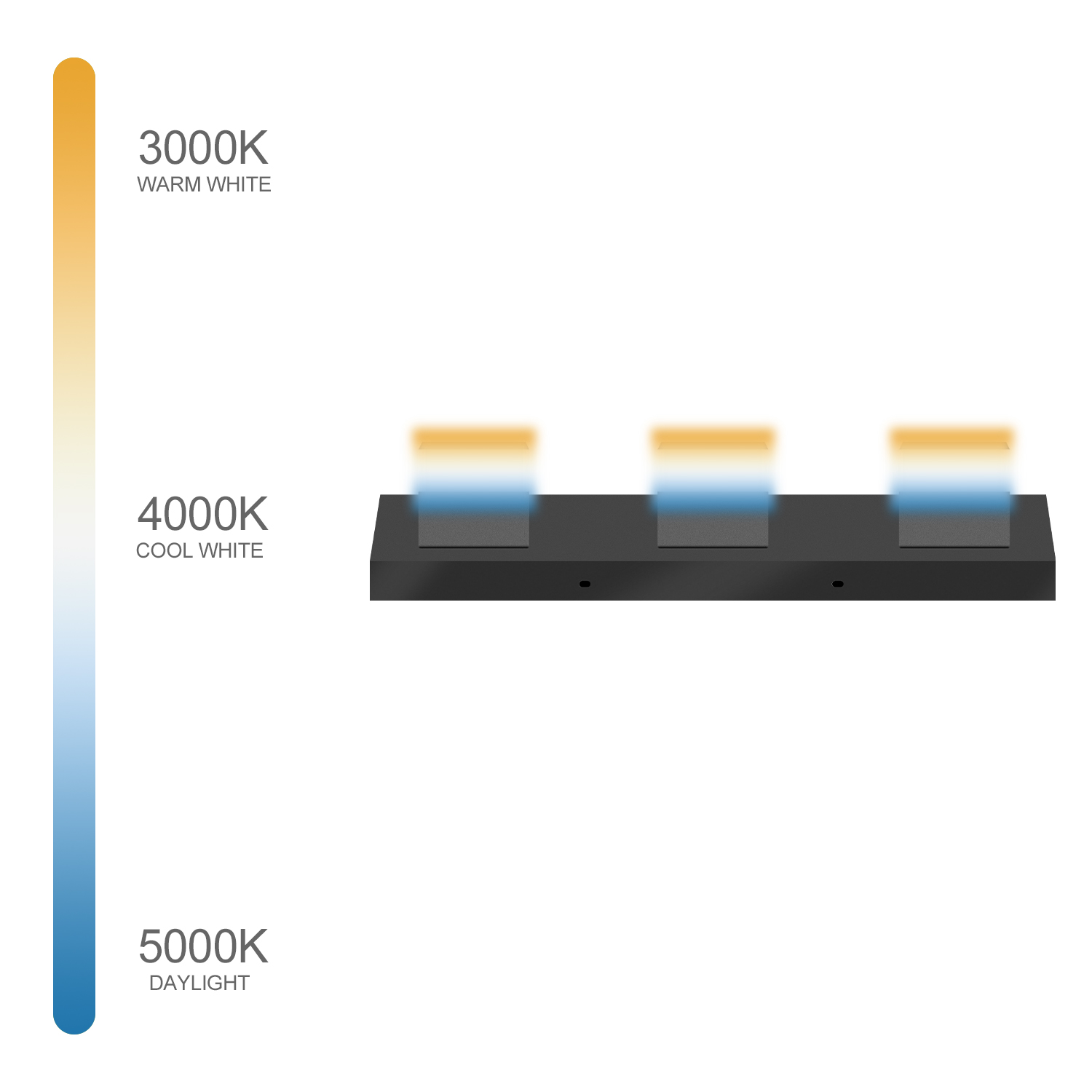 Up and Down Black LED Vanity Light