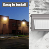 CCT & Power Tunable Dimmable LED Wall Pack