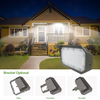 LED Flood Light
