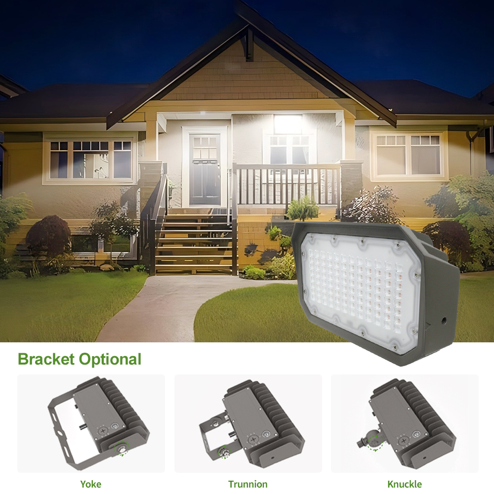 LED Flood Light