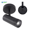 20W 25W 30W Selectable 5CCT COB Chips Zoomable Surface Mount LED Wall Spotlight