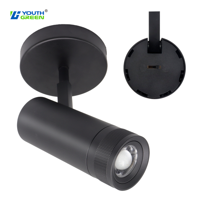 20W 25W 30W Selectable 5CCT COB Chips Zoomable Surface Mount LED Wall Spotlight