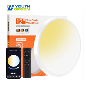 12 Inch 2000-6000K 2.4G Smart Remoted Controlled+ Bluetooth LED Flush Mount Panel 24W