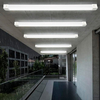 24W/40W/60W Power & CCT Tunable Industrial LED Tube Fixture Vapor Tri-proof Light