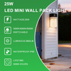 3CCT Dimmable Mini Wall Pack