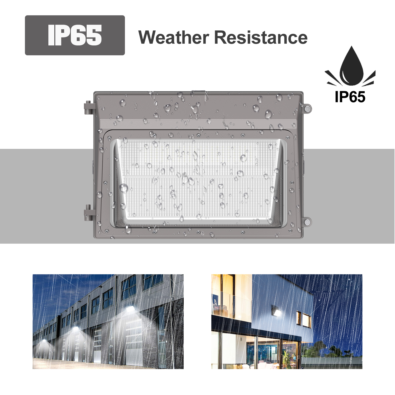 LED Wall Pack Light