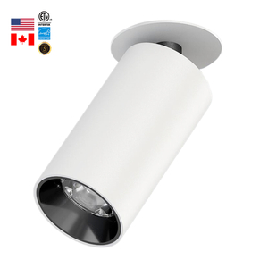 Commercial Led Downlight 2in Spotlight Wall Washer